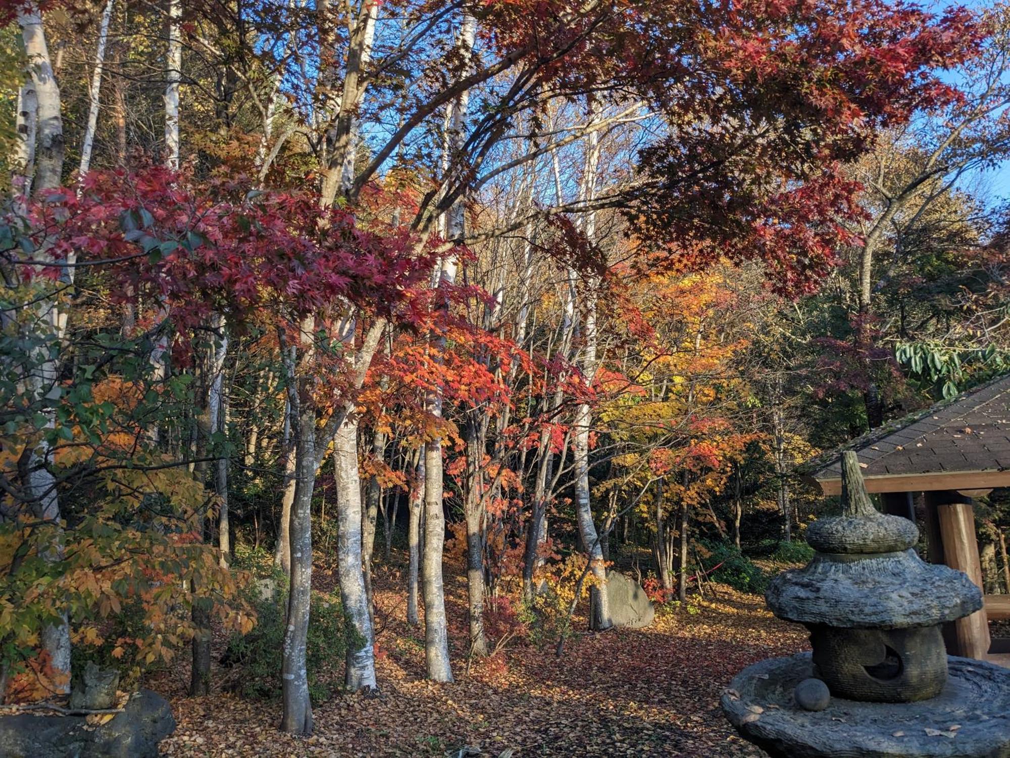 The Lakeview Toya Shirokumanoyado 度假居