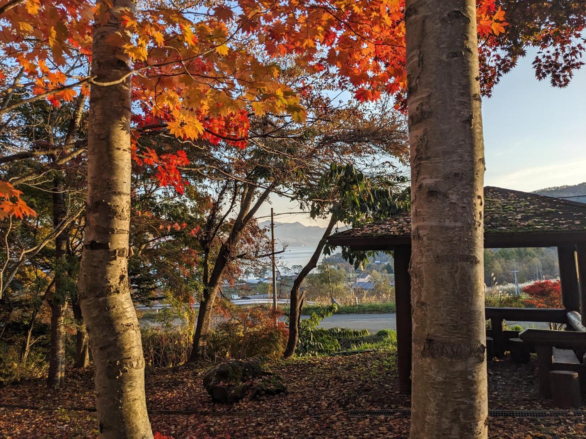 The Lakeview Toya Shirokumanoyado