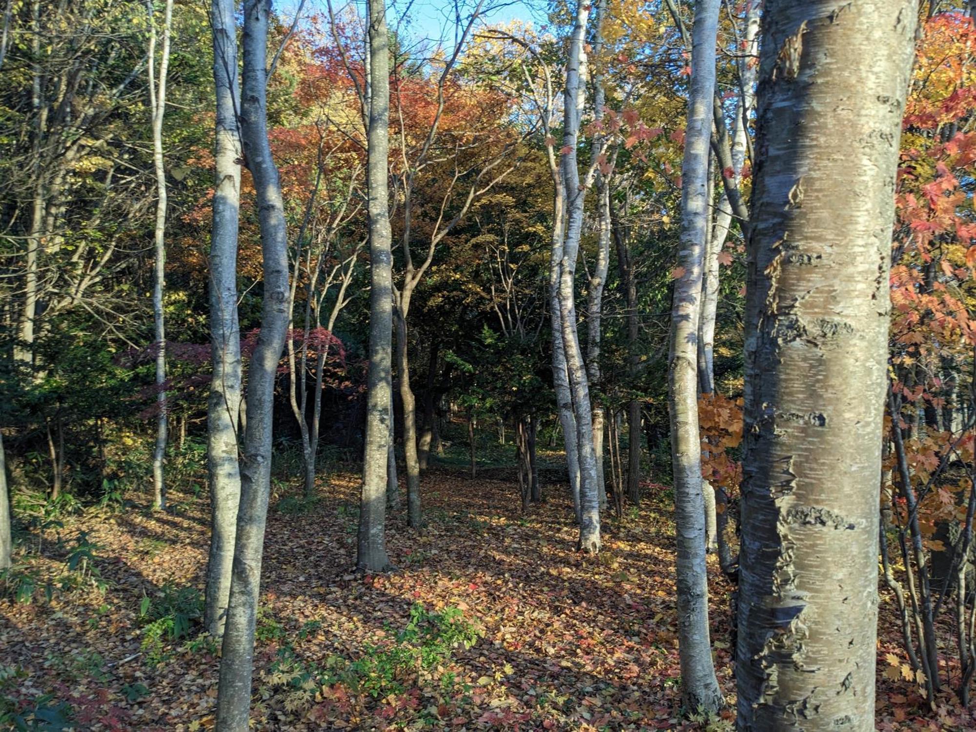 度假居 The Lakeview Toya Shirokumanoyado